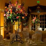 Centerpiece Pin Spotting & Up-Lighting
Photo Courtesy of Synergetic Consulting
